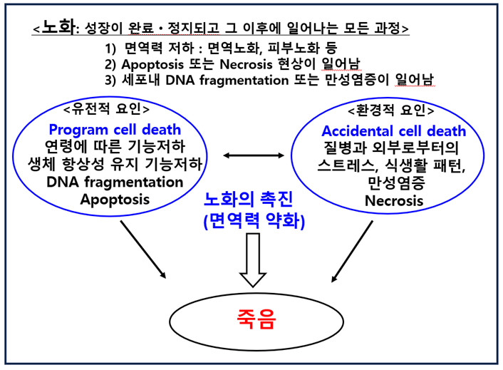 캡처4.PNG