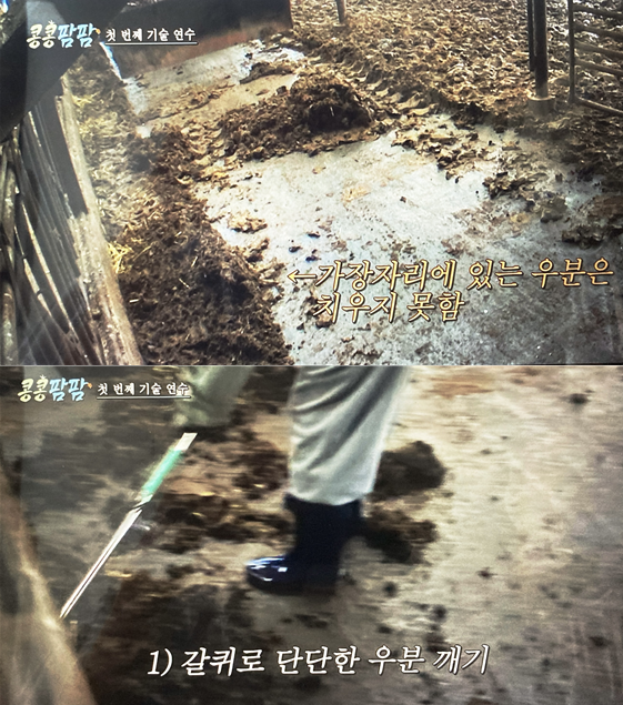 콩4.png