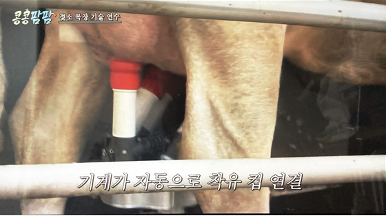 콩6.png