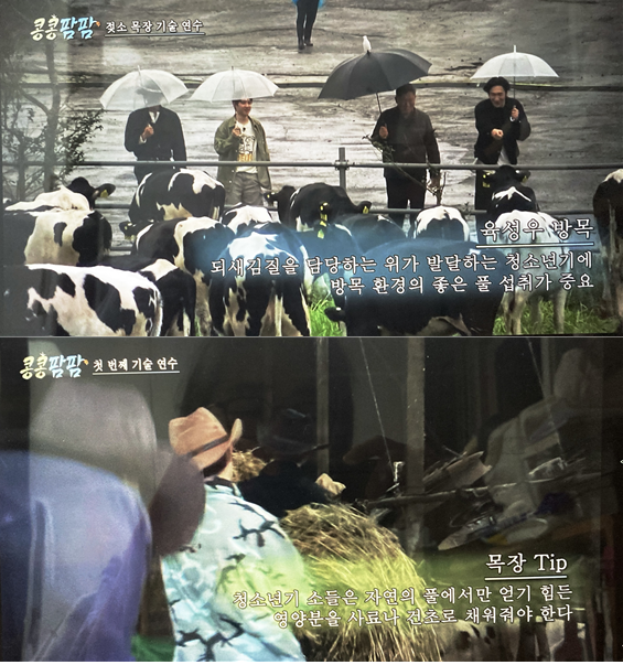 콩8.png