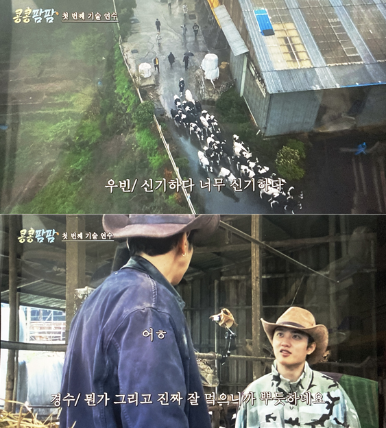 콩9.png